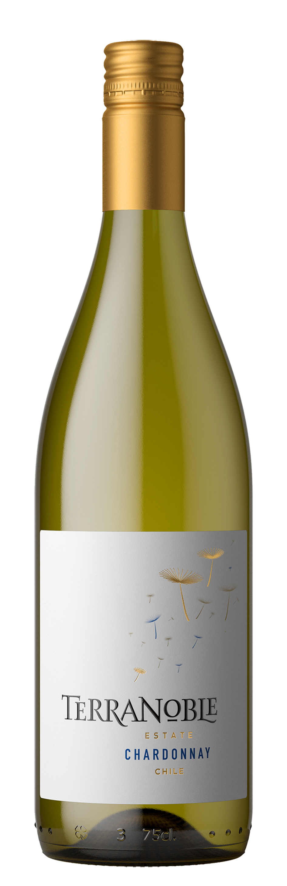 Chardonnay Terra Noble San Clemente Maule
